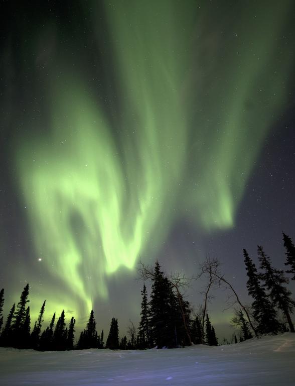 Aurora Inn Dawson City Exteriör bild